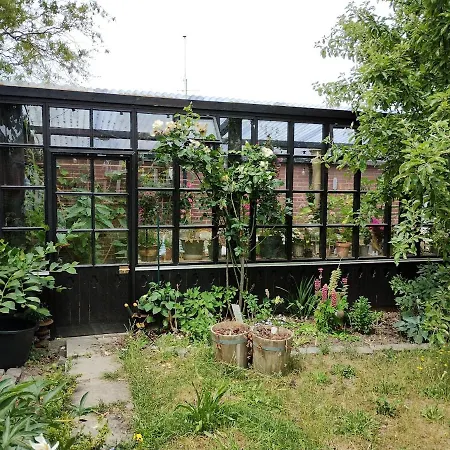 Διαμέρισμα Ezzo *